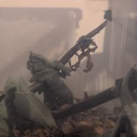 Phasme scorpion ou à tiare - extatosoma tiaratum #2