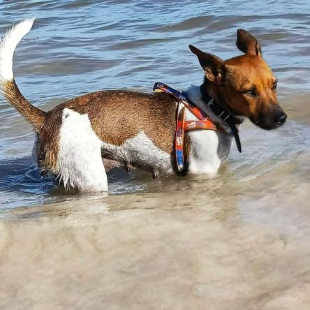 Aya, le douce créole