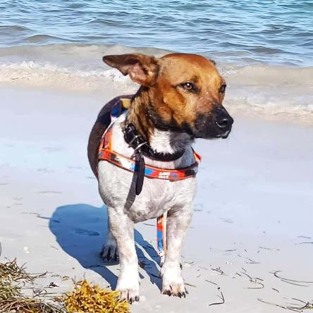 Aya, le douce créole #6