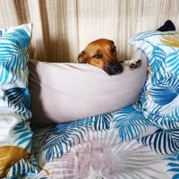 Aya, le douce créole #1