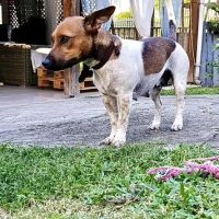 Aya, le douce créole #2