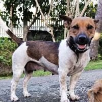 Aya, le douce créole #3