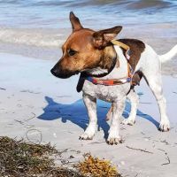 Aya, le douce créole #5