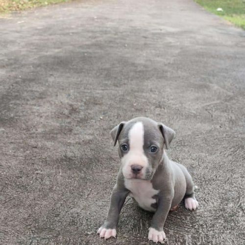 Jenny la tendre frimousse