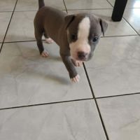 Jenny la tendre frimousse #3