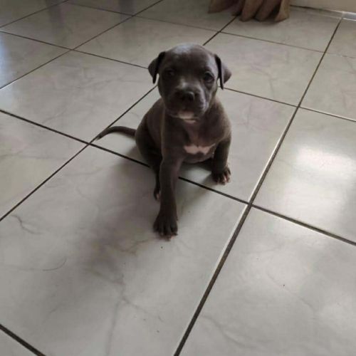 Maggie, un amour de bébé #2