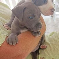 Maggie, un amour de bébé #1