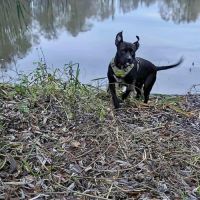 Paty, la tendre amie #5