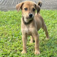 Loki, le père câlin #0