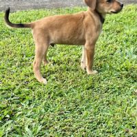 Loki, le père câlin #3