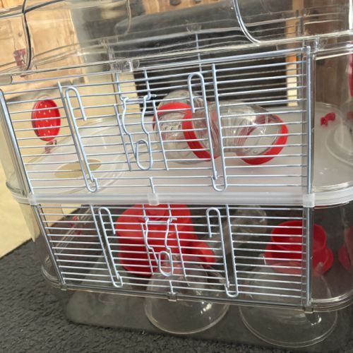 Donne hamtser nain #7