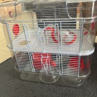 Donne hamtser nain #6