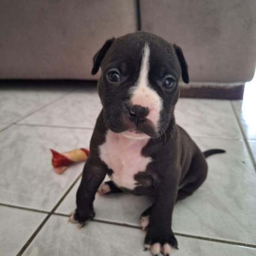 Bria, je suis encore un bébé #2