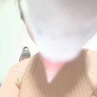 Adoption responsable – 2 paddas de java (ensemble) #3