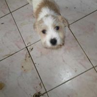 Miahata recherche une famille #2