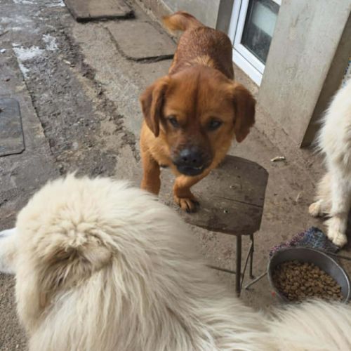 Cenu attend sa chance #0