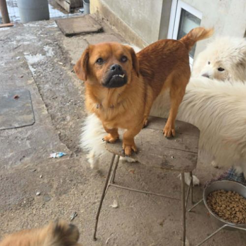 Cenu attend sa chance #2