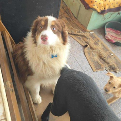 Ken a besoin d'une famille #3