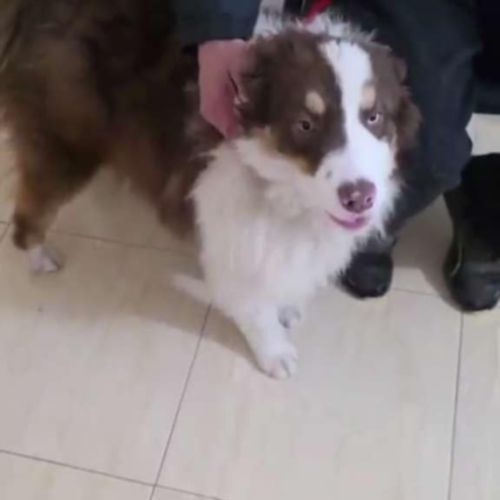 Ken a besoin d'une famille #4