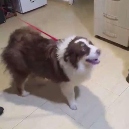 Ken a besoin d'une famille #5