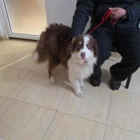 Ken a besoin d'une famille #2