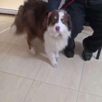 Ken a besoin d'une famille #8