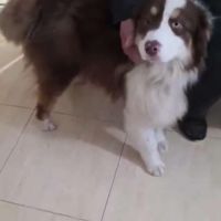 Ken a besoin d'une famille #9