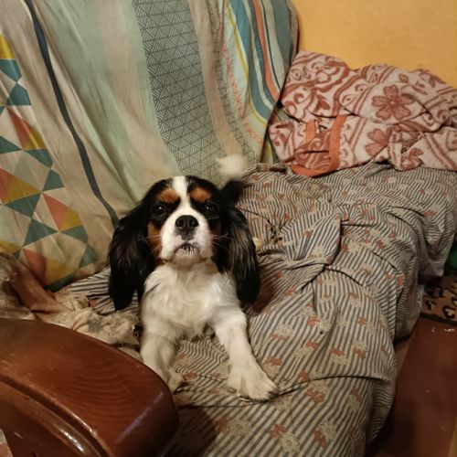 Placement pour retraite #1