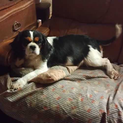 Placement pour retraite #2