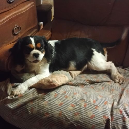 Placement pour retraite #0