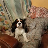 Placement pour retraite #1