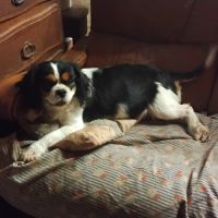 Placement pour retraite