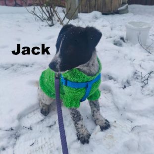 Jack se trouve dans un refuge en ukraine #2