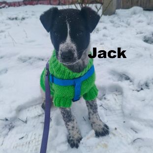 Jack se trouve dans un refuge en ukraine #3
