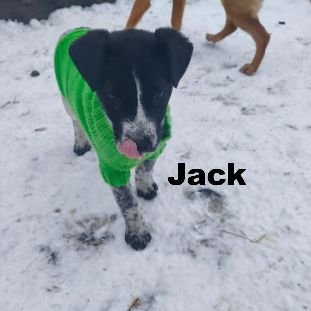 Jack se trouve dans un refuge en ukraine #5