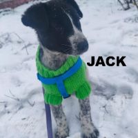 Jack se trouve dans un refuge en ukraine
