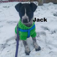 Jack se trouve dans un refuge en ukraine #3