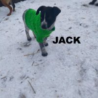 Jack se trouve dans un refuge en ukraine #4