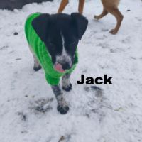 Jack se trouve dans un refuge en ukraine #5