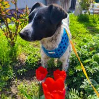 Jack se trouve dans un refuge en ukraine #1