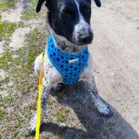 Jack se trouve dans un refuge en ukraine #4