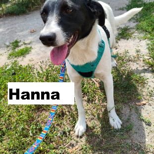 Hanna se trouve dans un refuge  en ukraine #2