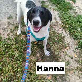 Hanna se trouve dans un refuge  en ukraine #4