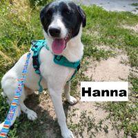 Hanna se trouve dans un refuge  en ukraine #5