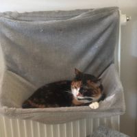 Chanel se trouve en famille d'accueil #3