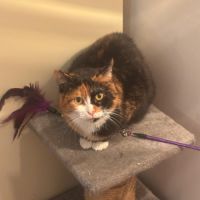 Chanel se trouve en famille d'accueil #4