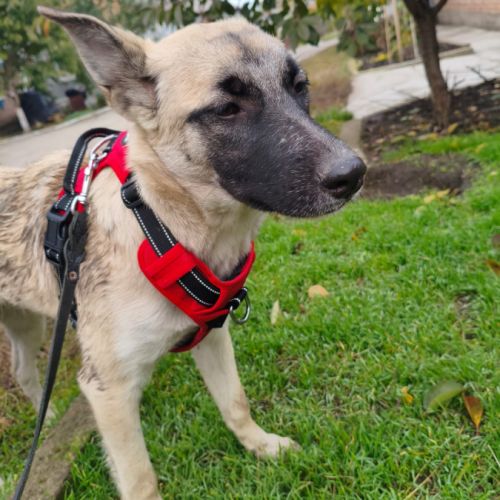 Margo se trouve dans un refuge en ukraine #3