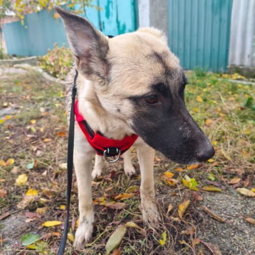 Margo se trouve dans un refuge en ukraine #4