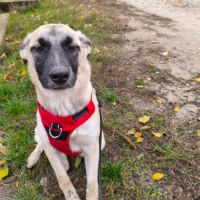 Margo se trouve dans un refuge en ukraine #0