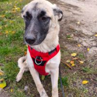 Margo se trouve dans un refuge en ukraine #2